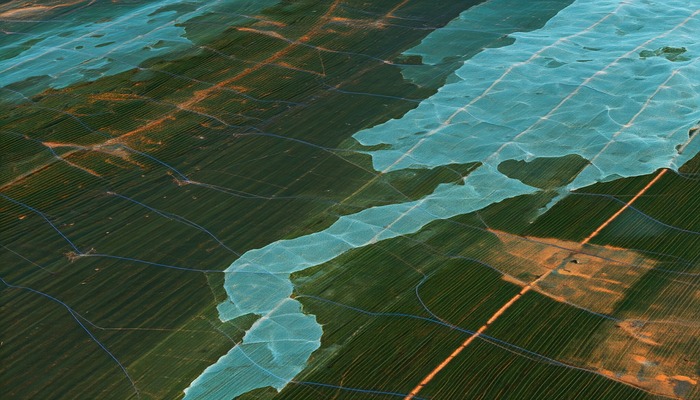 GeoAI